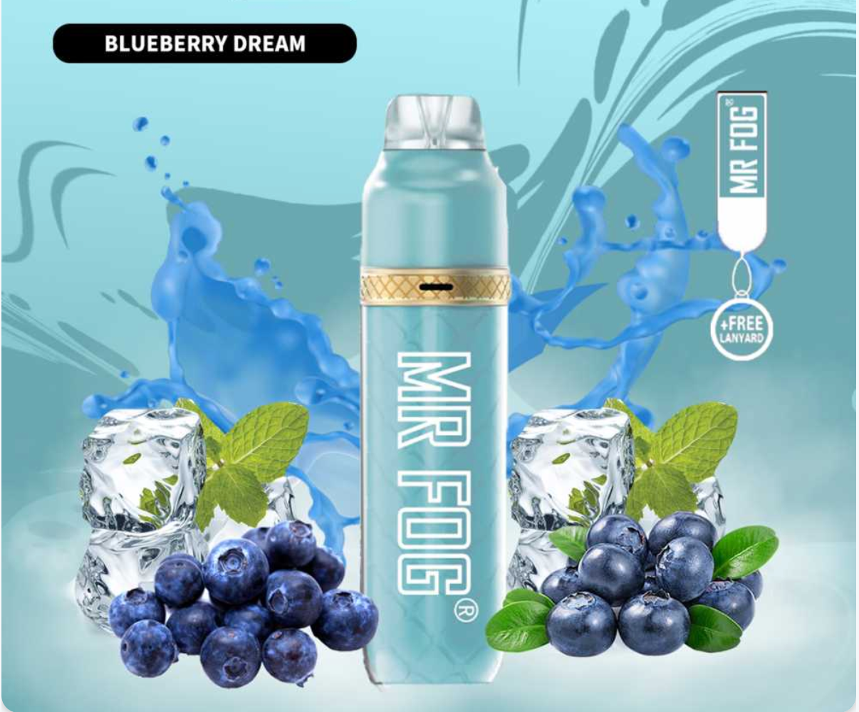 MR FOG BLUEBERRY DREAM – 3600 PUFFS