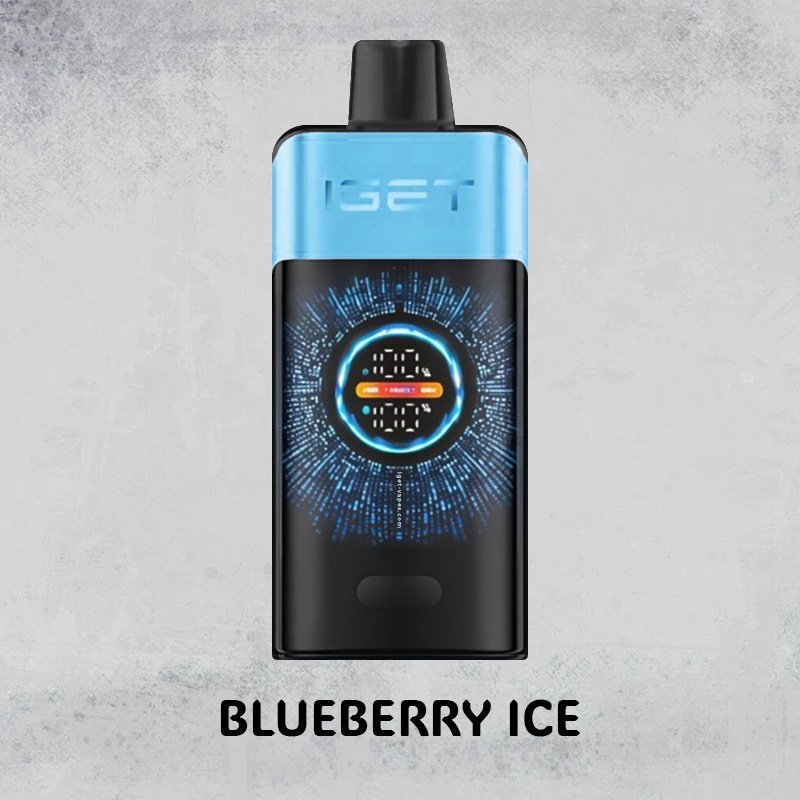 BLUEBERRY ICE – IGET ONE – 12000 PUFFS